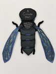 A Cicada Shell by Sara Daisy Sutherland