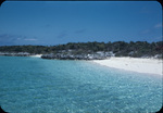 Limestone rocks and plants on the coast of Allen Cays, Exuma, Bahamas