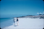 A man and a woman walk with a dog on a beach on Allen Cays, Exuma, Bahamas