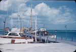 Yachts and sail boats docked at the North Cat Cay marina, Bahamas