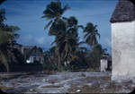 Two homes in Rock Sound, Eleuthera, Bahamas