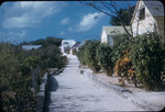 A narrow lane flanked by a row of houses on Man of War Cay, Abaco, Bahamas