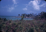 Bushes and a coastal road near Nicholls Town, Andros, Bahamas