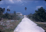 People walk down a neighborhood street in Nicholls Town, Andros, Bahamas