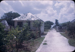 Houses and a street in Nicholls Town, Andros, Bahamas.