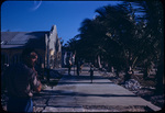 Pedestrians walk on a path toward some buildings in Bimini, Bahamas