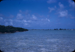 View of shallow waters and an island with mangroves in Bimini, Bahamas