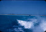 View of the wake of a boat off the coast of Bimini, Bahamas