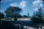 A cemetery on Green Turtle Cay, Abaco, Bahamas