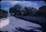 A neighborhood street flanked by cement walls and plants in Dunmore Town, Harbour Island, Bahamas