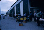 Steel Pan Band Greeting Tourists at the Customs Department