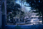 Cathedral Cemetery Barbados