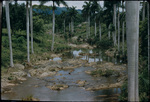 Creek near Camaguey