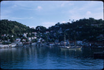 Yachts and Other Boats Anchored in Saint George’s Harbor, Saint George, Grenada