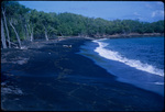 A Beach with Black Volcanic Sand Surrounded by Trees Near Point Salines, Grenada