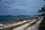 Susan Mowry by the bicycle looking out at the Nassau Harbor, New Providence, Bahamas