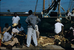 Vendors gathered around produce at the wharf, New Providence, Bahamas