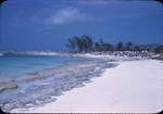 A beach in New Providence, Bahamas