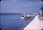 Along the docks of Nassau Harbor, New Providence, Bahamas