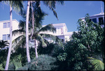 A hotel in Hope Town, Elbow Cay