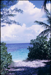 View of the ocean from Elbow Cay
