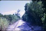 A narrow road in Hope Town, Elbow Cay
