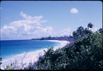 View of an Elbow Cay coast line
