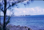 Sea view of Green Turtle Cay neighborhood