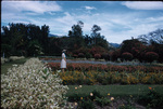 A woman standing in a flower garden at Hope Botanical Gardens