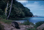 A canoe and a fishing trap on a Jamaican shoreline