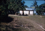 People gathered under a tree near a house in Jamaica