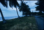 A road along the seaside on the East coast of Jamaica