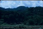 View of mountains in Jamaica from a harvested sugarcane field