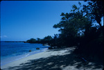 Seashore along the East coast of Jamaica