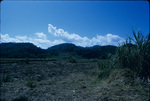 A harvested sugarcane field and mountains in Jamaica