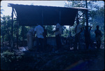 A group of men and boys cooking a hog in rural Jamaica