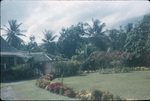 Dirt driveway and gardens of the Rebellion Inn in Saint Mary, Jamaica
