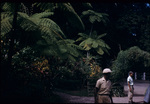 Two men in the Castleton Botanical Gardens in Saint Mary, Jamaica