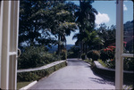View of the Shaw Park Hotel drive way