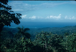 View of the sea from the mountains of Saint Ann, Jamaica