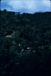 A home in the mountains of Moore Town, Portland, Jamaica