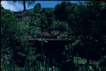 House on the hillside in Moore Town, Portland, Jamaica