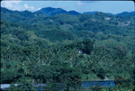 Mountain view and stream in Portland, Jamaica