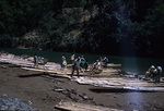 Tourists boarding bamboo rafts of the Rio Grande River in Port Antonio, Portland, Jamaica