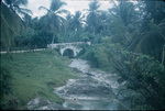 Road bridge near a fruit farm in Saint Ann, Jamaica