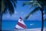 A main sail flanked by coconut trees in Saint John, Virgin Islands