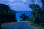 A road along the northern coast of Saint John, Virgin Islands
