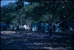 Boy Scouts camping near Francis Bay, Saint John, Virgin Islands