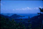 View of flowers and mountain peaks near Coral Bay, Saint John, Virgin Islands
