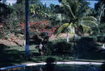 A man standing near a fountain in Saint Vincent Botanic Gardens